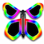 butterflyers.com