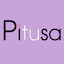 pitusa.co